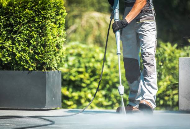Best Pre-Holiday Cleaning  in Nellieburg, MS