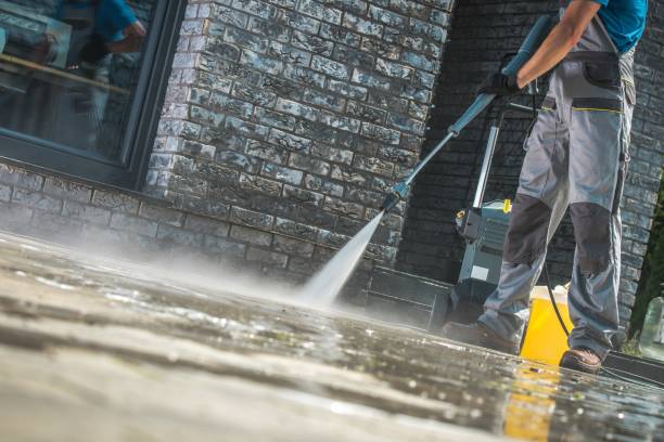 Best Driveway Pressure Washing  in Nellieburg, MS