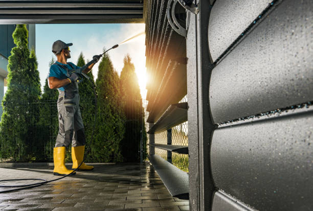 Best Roof Washing  in Nellieburg, MS